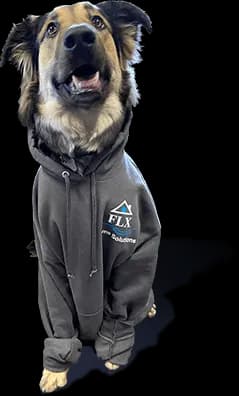 Happy dog wearing FLX Home Solutions hoodie - company mascot